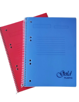 Caderno Espiral A5 Quadriculado Platanus Sortido 100Fls 1un