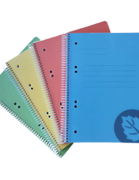 Caderno Espiral A5 Pautado Platanus Sortido 100Fls