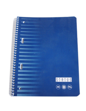 Caderno Espiral A5 Quadriculado EnriStatus 80Fls 1un
