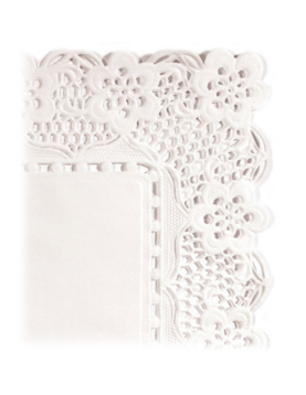 Naperons Papel Retangulares 26x32cm Pack 250un