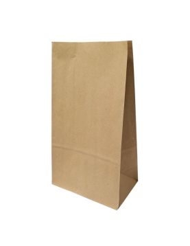 Saco sem Asas 20x12x37,5cm Papel Kraft 070g 1un