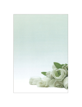 Papel Temático Flor Branca A4 90g 20 Folhas