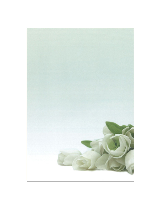 Papel Temático Flor Branca A4 90g 20 Folhas