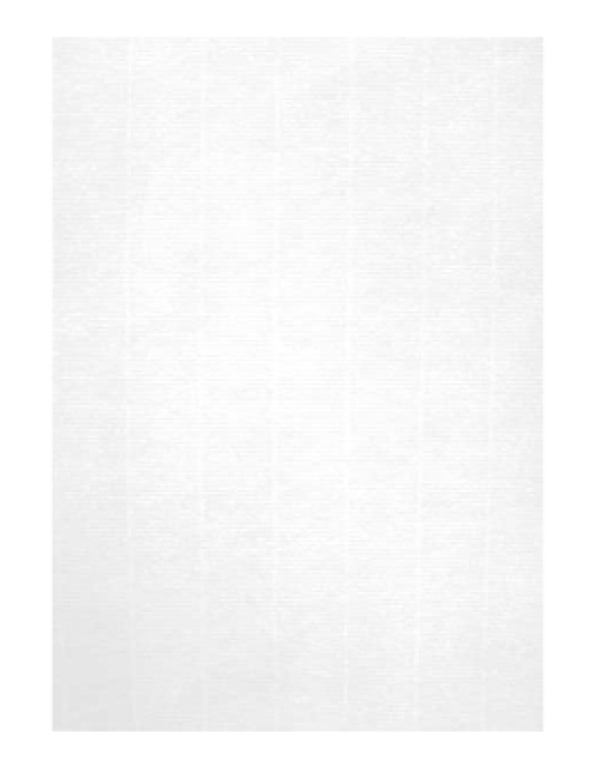 Papel A4 Verge 100g Apli Branco 100 Folhas
