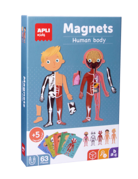 Jogo Educativo Magnético Apli Corpo Humano 63 Peças