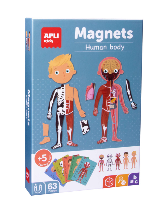 Jogo Educativo Magnético Apli Corpo Humano 63 Peças