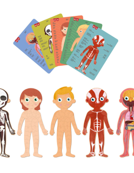 Jogo Educativo Puzzle Apli Corpo Humano 240 Peças