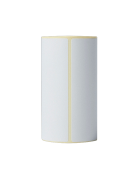 Etiquetas Térmicas 102x152mm 20 Rolos