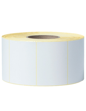 Etiquetas Pré-Cortadas Mate 102x74mm 4 Rolos